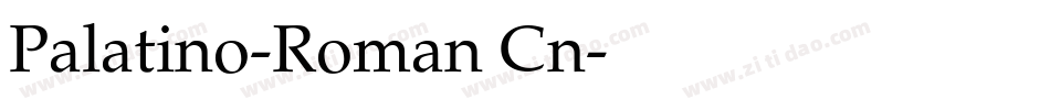 Palatino-Roman Cn字体转换